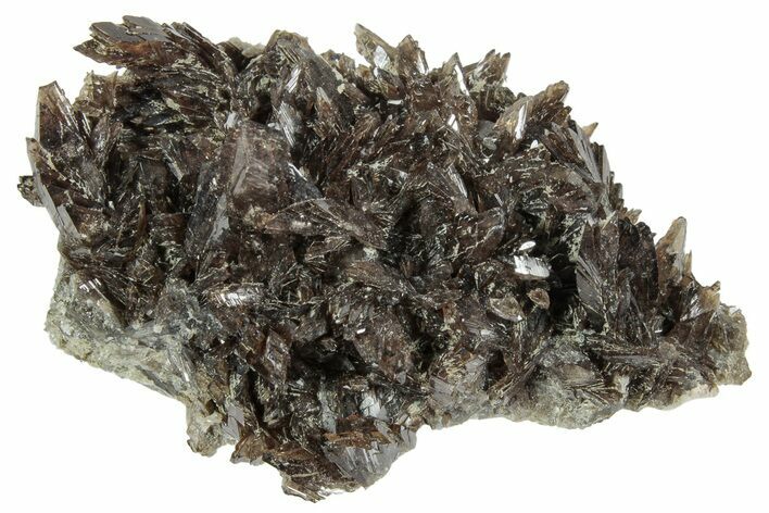 Lustrous Axinite Crystal Cluster - Dalnegorsk, Russia #239592